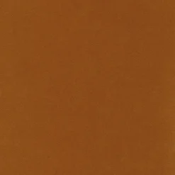 Regal Map Spice Fabric> Trim