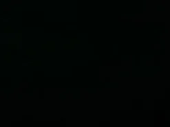 Covington Milo 947 Noir Fabric> Solid, Texture & Faux