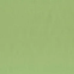 Regal Molly Geranium Fabric Outlet