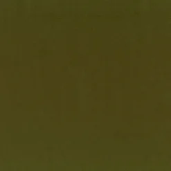 Regal Molly Loden Fabric> Solid, Texture & Faux