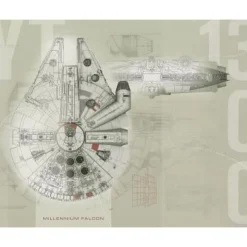 York Murals Star Wars Millennium Falcon Pre-Pasted Mural> Kids