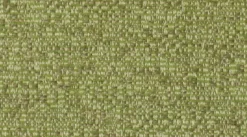 Stock/Crypton Naima Sprig Crypton Fabric Hot