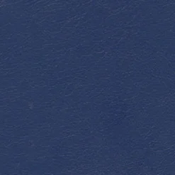 Vision Navigator NAV 9902 Celestial Fabric Discount