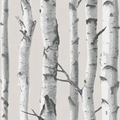 Stock/Brewster NU1650 Grey White Birch Tree Peel & Stick Wallpaper