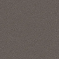 Vision Nuance 2454 Fawn Fabric> Solid, Texture & Faux