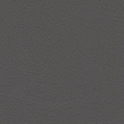 Vision Nuance 2460 Med. Grey Fabric> Solid, Texture & Faux