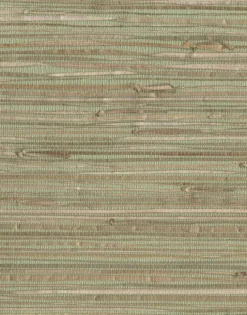 York NZ0780 Green Natural Grasscloth Wallpaper Outlet