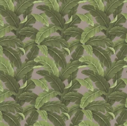 Tempo OD Belize Fawn Fabric> Outdoor