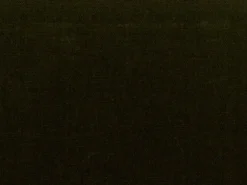 Covington Pebbletex Moss Fabric Hot