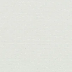 PKaufmann_inc/PK Perf Asteria 20 Cloud P Kaufmann Performance Fabric> Solid, Texture & Faux