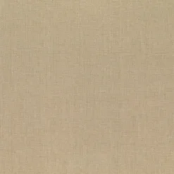 Regal Pisab Cream Sodas Fabric> Solid, Texture & Faux