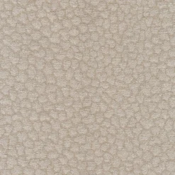 Regal Pounce Linen Fabric Online