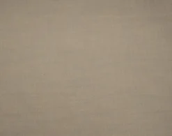 Stock/Closeout Priya Shell Dorell Fabric Outlet