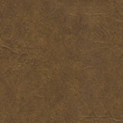 Vision Rogue II RU840 Buckskin Fabric> Solid, Texture & Faux