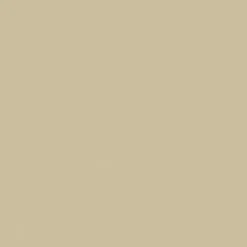 Vision Sealskin 68 Parchment Fabric> Solid, Texture & Faux