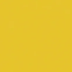 Vision Sealskin 505 Sun Yellow Fabric> Solid, Texture & Faux