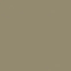 Vision Sealskin 6009 Taupe Fabric> Solid, Texture & Faux