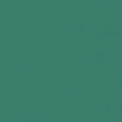 Vision Sealskin 34 Turquoise Fabric> Solid, Texture & Faux