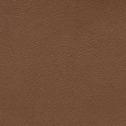 Vision Sierra Soft 6262 Cognac Fabric Hot
