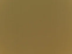 Covington Spinnaker Latte Fabric> Solid, Texture & Faux