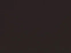 Covington Spinnaker Raisin Fabric Clearance