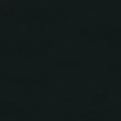 Vision Spirit Milm US 393 Black Fabric> Solid, Texture & Faux