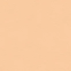 Vision Spirit Milm US 502 Coral Sand Fabric New