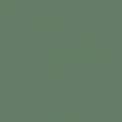 Vision Spirit Milm US 417 Dusty Jade Fabric> Solid, Texture & Faux
