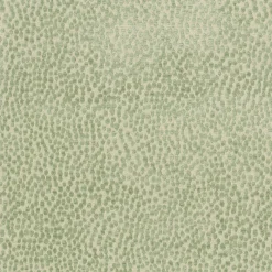 PKaufmann_inc/PKL Spotty Dotty Meadow P/K Lifestyles Fabric