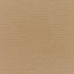 Vision Sunbr Furn Solid Canvas 5425 Cocoa Fabric> Solid, Texture & Faux