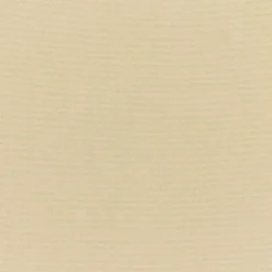 Vision Sunbr Furn Solid Canvas 5422 Antique Beige Fabric> Solid, Texture & Faux