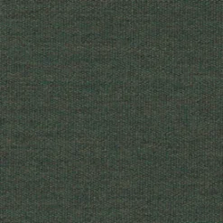 Vision Sunbr Furn Solid Canvas 5487 Fern Fabric> Solid, Texture & Faux