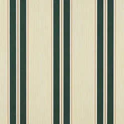 Vision Sunbr 46" 4923 Black Forest Fancy Fabric> Stripes & Chevrons