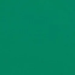 Vision Sunbr 46" 4645 Sea Grass Green Fabric> Solid, Texture & Faux