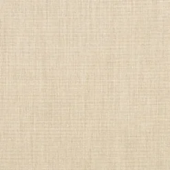 Vision Sunbrella Furn Canvas 5492-0000 Flax Fabric