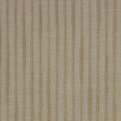Richloom Tiki Chamois Fabric> Stripes & Chevrons