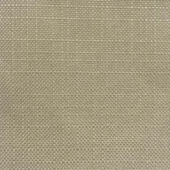 Regal Turbo Fawn Fabric> Solid, Texture & Faux