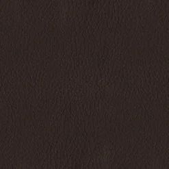 Vision Turner 805 Bisque Fabric Hot