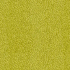 Vision Turner 54 Citron Fabric> Solid, Texture & Faux