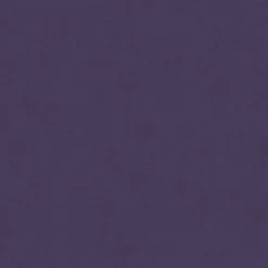 Vision Urban 1009 Grape Fabric> Trim