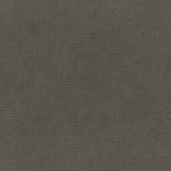 Regal Urbanrider Moon Dust Fabric> Solid, Texture & Faux