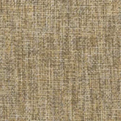 Regal Vault Fawn Fabric Online