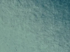 Covington Velluto 522 Peacock Fabric Sale