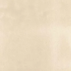 Regal Venture Ivory Fabric Clearance