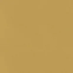 PKaufmann_inc/PKL Vernon Golden P/K Lifestyles Fabric New