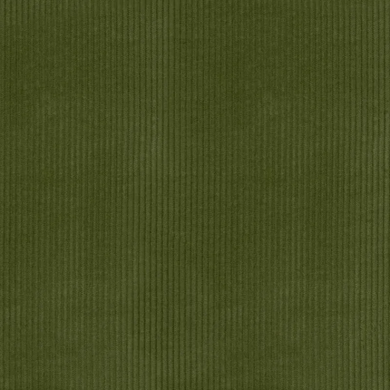 PKaufmann_inc/PKL Wales Avocado P/K Lifestyles Fabric> Stripes & Chevrons