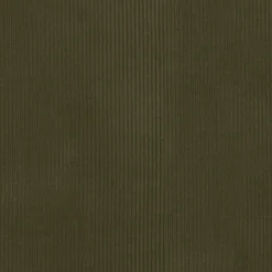 PKaufmann_inc/PKL Wales Moss P/K Lifestyles Fabric> Stripes & Chevrons