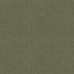 Vision Whisper Vinyl 2120 Antelope Fabric Clearance